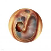 成都的鼓膜穿孔医院在哪儿?